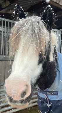 2023 11 November 621